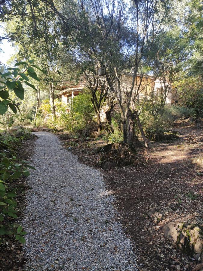 Casa La Indiana Βίλα Fuenteheridos Εξωτερικό φωτογραφία
